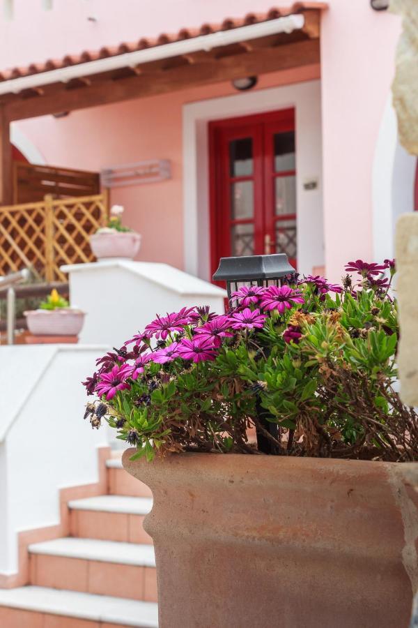 Chalki Apartments - Naxos Khalkíon Екстериор снимка