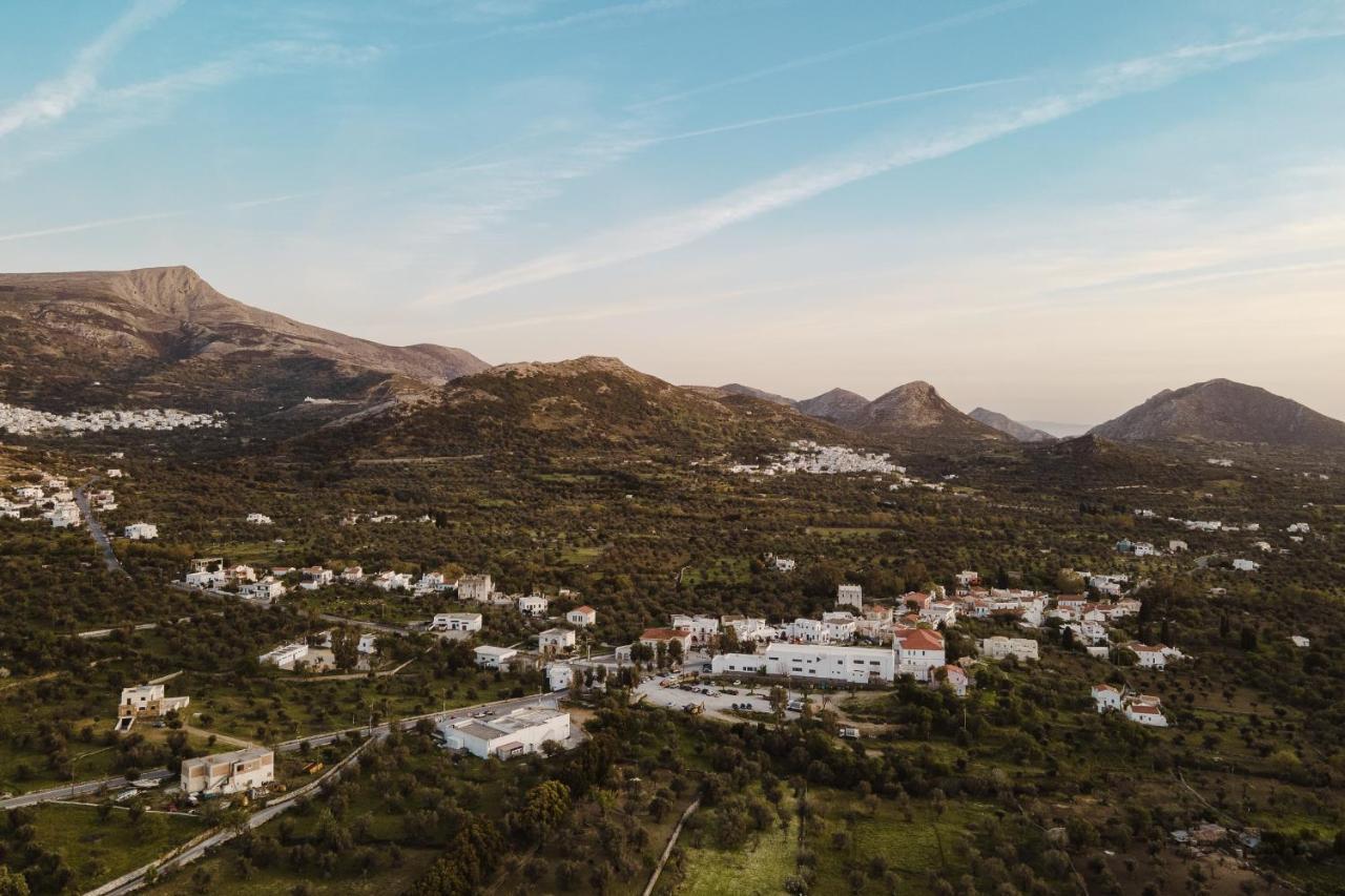 Chalki Apartments - Naxos Khalkíon Екстериор снимка